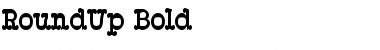 Download RoundUp Font