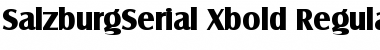 Download SalzburgSerial-Xbold Regular Font