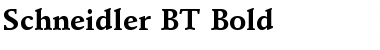 Download Schneidler BT Bold Font