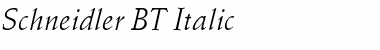 Download Schneidler BT Italic Font