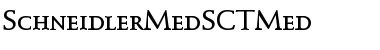 Download SchneidlerMedSCTMed Regular Font