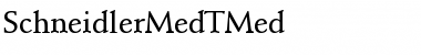 Download SchneidlerMedTMed Regular Font