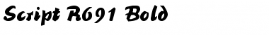 Download Script-R691 Bold Font