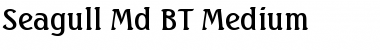 Download Seagull Md BT Medium Font