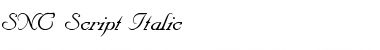 Download SNC1.02SN Italic Font