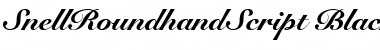 Download SnellRoundhandScript-Black BlackItalic Font