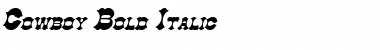 Download Cowboy Font