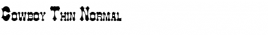 Download Cowboy Thin Font