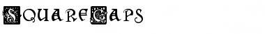 Download SquareCaps Regular Font