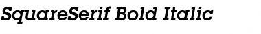 Download SquareSerif Bold Italic Font