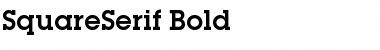 Download SquareSerif Bold Font