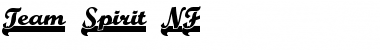 Download Team Spirit NF Font