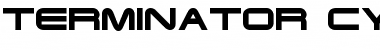 Download Terminator Cyr Font Download Terminator Cyr Font