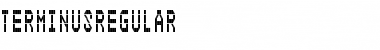 Download TerminusRegular Font Download TerminusRegular Font