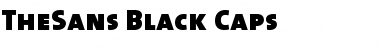 Download The Sans Black- Regular Font