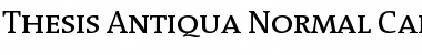 Download Thesis Antiqua- Regular Font