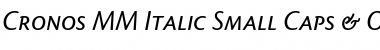Download Cronos MM Font