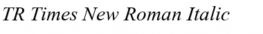 Download TR Times New Roman Italic Font