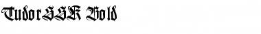 Download TudorSSK Font Download TudorSSK Font