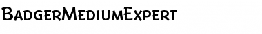 Download BadgerMediumExpert Roman Font