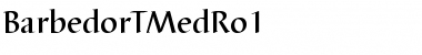 Download BarbedorTMedRo1 Regular Font