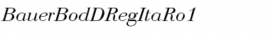 Download BauerBodDRegItaRo1 Regular Font