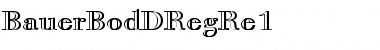 Download BauerBodDRegRe1 Regular Font