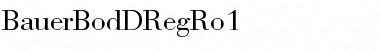 Download BauerBodDRegRo1 Regular Font