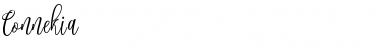 Download Connekia Font