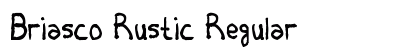 Briasco Rustic Regular preview