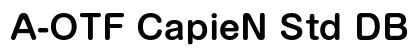 A-OTF CapieN Std DB preview