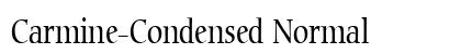 Carmine-Condensed Normal preview