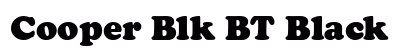Cooper Blk BT Black preview
