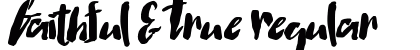 Faithful &amp; True Regular preview