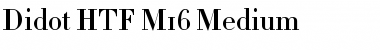 Download Didot Medium Font