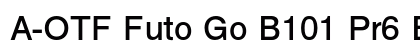 A-OTF Futo Go B101 Pr6 Bold preview