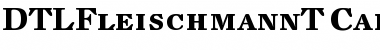 Download DTLFleischmannT Font