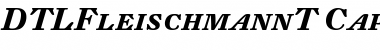 Download DTLFleischmannT Font