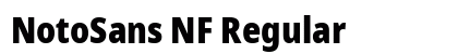 NotoSans NF Regular Preview