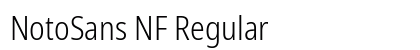 NotoSans NF Regular Preview