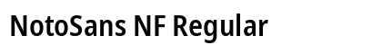 NotoSans NF Regular Preview