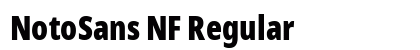 NotoSans NF Regular Preview