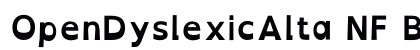OpenDyslexicAlta NF Bold preview