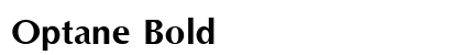 Optane Bold preview
