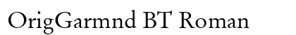OrigGarmnd BT Roman