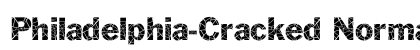 Philadelphia-Cracked Normal preview