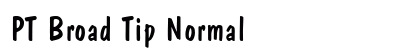PT Broad Tip Normal preview