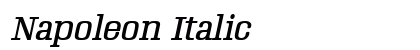 Napoleon Italic preview