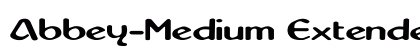 Abbey-Medium Extended Regular