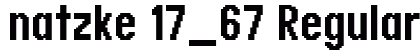 natzke 17_67 Regular preview